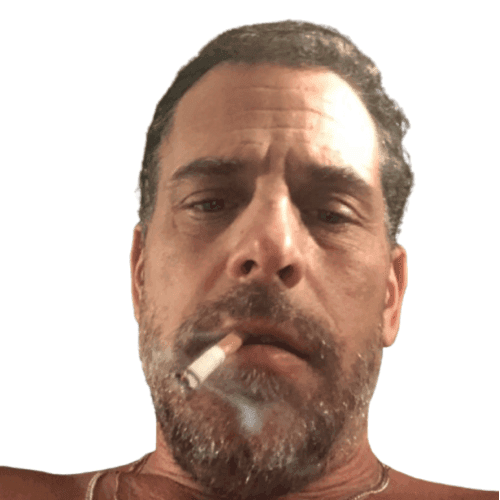 Will Hunter Biden win the 2028 Democratic presidential nomination?