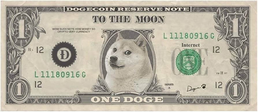 Will Trump create a DOGE dividend in 2025?